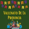 Vallenato de la provincia