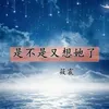 About 是不又想她了 Song