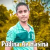 About Pudina Ae Hasina Song