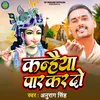 About Kanhaiya Paar Kar Do Song