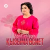 About Қызыма өсиет Song