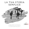 About La tua storia semplice Song