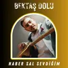 About Haber Sal Sevdiğim Song