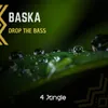 About Drop The Bass Song