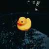 Rubber Duck