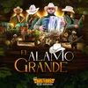 About El Alamo Grande Song