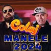 Manele de Dragoste 2024 MIX MANELE