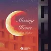 About Missing Home Song