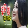 About Tumi Je Prem Amar Song