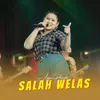 About Salah Welas Song