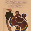 El vallenato de mi paisa