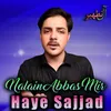 About Haye Sajjad Song