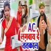 About Ac Lagwai De Tantkal Song