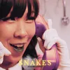 About Snakes Song