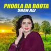 About Phoola Da Boota Song