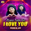 About Pyare Nabi Ge I Love You Song
