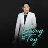 About Buông Tay Song