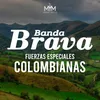 About Fuerzas Especiales Colombianas Song