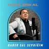 About Haber Sal Sevdiğim Song