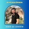 About Haber Sal Sevdiğim Song