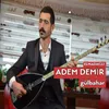 About Gülbahar Song