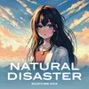 About Natural Disaster Song