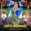 About Bibir Bermadu Song