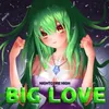 About Big Love Song