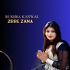 About Zrre Zama Song