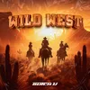 About Wild West Song