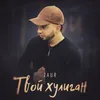About Твой хулиган Song