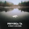 About Privirea ta Song