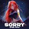 About Sorry (For You) Song