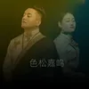 About 色松嘉鸣 Song