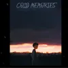 About Cold Memories Song