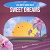 About Sweet Dreams Song