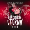 About Borrachera eterna Song