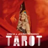 About Tarot Song