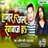 About Hamar Jila Rangbaj Ha Song