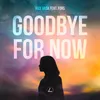 About Goodbye For Now Song