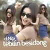 Tebilin Besidang