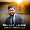 About Яблоко любви Song