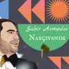 About Naxçıvanım Song
