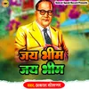 About Jai Bhim Jai Bhim Song