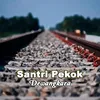 Santri Pekok