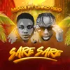 About Sare Sare Song