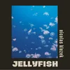 About Jellyfish Song