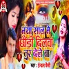 About Naya Saal Me Chhauri Dilwa Tur Dele Ba Song