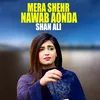 About Mera Shehr Nawab Aonda Song