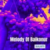 Melody Of Baikonur